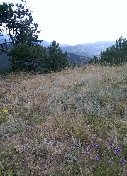 Views to the west include the peaks of the continental divide