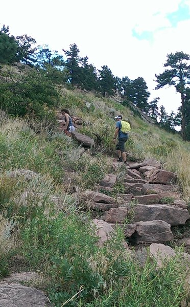 A steeper section of trail with lots of rock steps