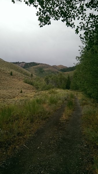 Doubletrack at the beginning of Proctor Loop Trail