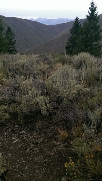 Distant mountains viewed from the Aspen Loop Trail