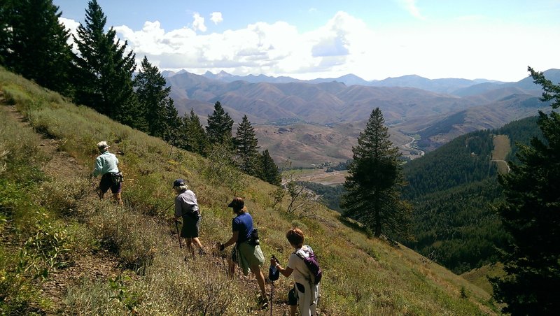 Switch backing up the Bald Mountain Trail