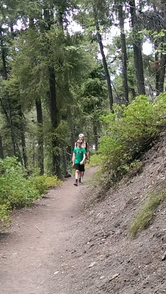 Enjoy the shade on the lower slopes of Bald Mountain