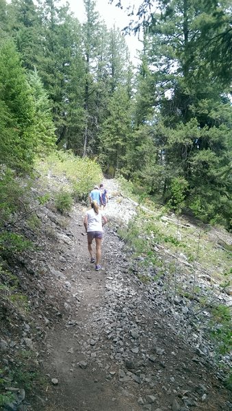 Bald Mountain Trail starts out paralleling the Big Wood River