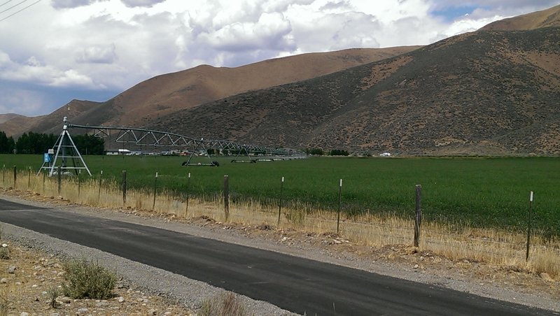 Route passes lots of agricultural fields north of Bellevue