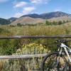 Views of Bald Mountain from the Morning Star Road extension