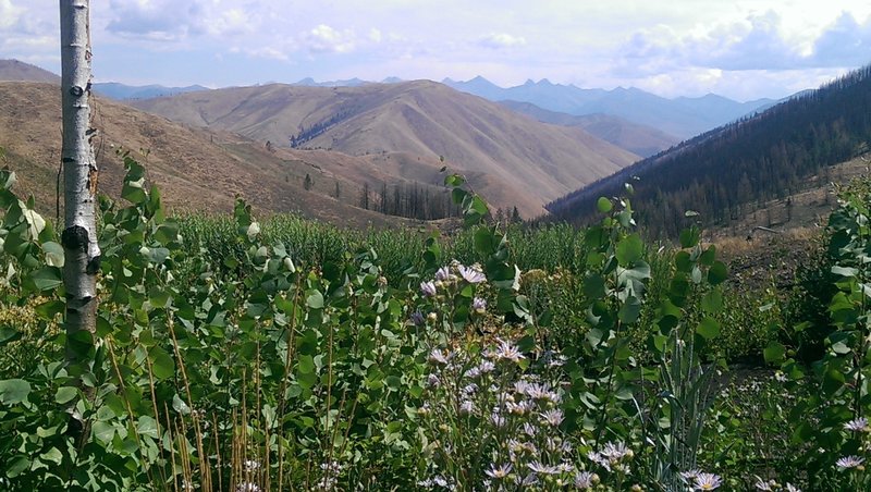 Wonderful views of the Pioneer Mountains