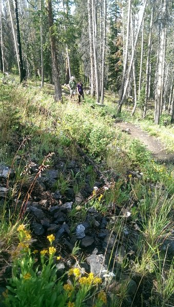 Hikers beginning the trek to Washington Lake