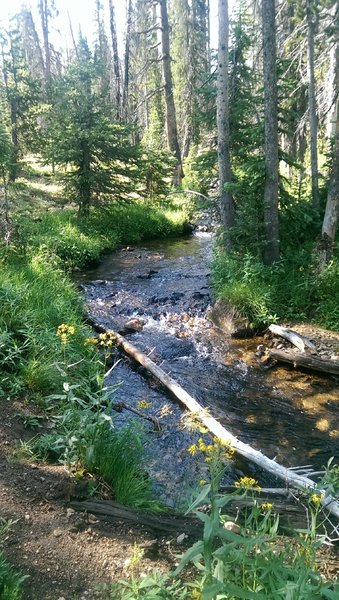 The trail follows the Fourth of July Creek along this section