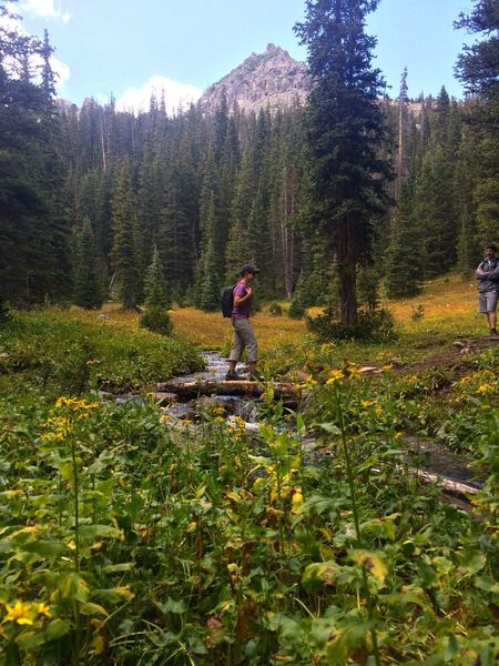 Crossing Fancy Creek