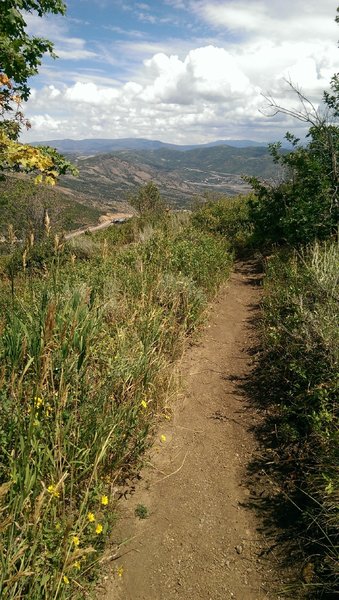 Brief, mellow start to the Spin Cycle Trail