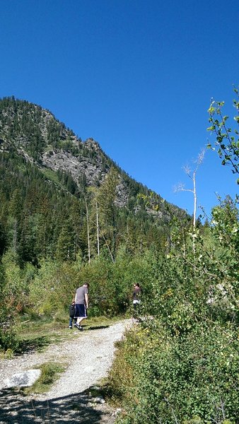 Early going on the North Tenmile Creek trail does not offer much shade