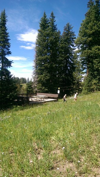 Picnic platform on Sunlight trail