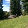 Picnic platform on Sunlight trail