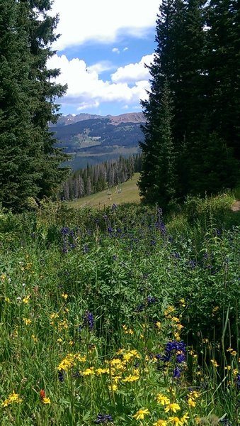 Abundant wildflowers complement views of the Gore Range