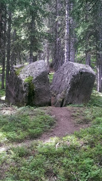 Kids love playing on these boulders