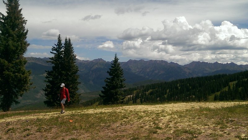 Summertime revegetation work at the top of Wildwood