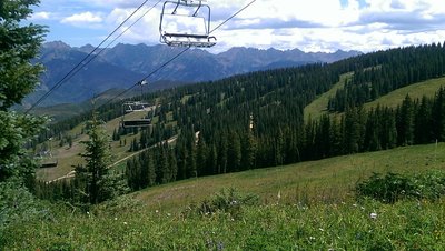 Ski run meadows full of wildflowers on Grand Escape