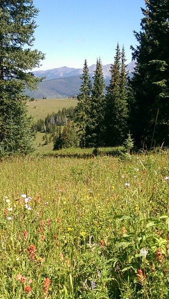 Views to the west from Ptarmigan trail