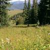 Views to the west from Ptarmigan trail