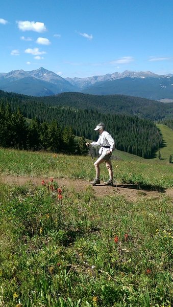 This kind of beauty is par for the course on the Ridge Route trail