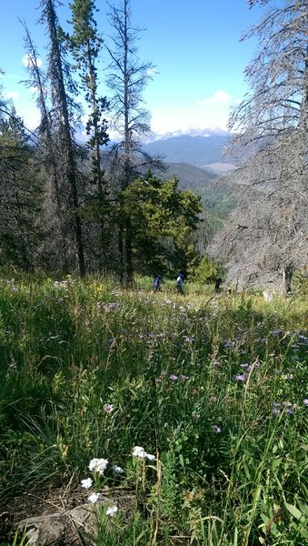 Views to the southwest over the Holy Cross wilderness