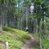 Late summer hiking on Lower Fireweed