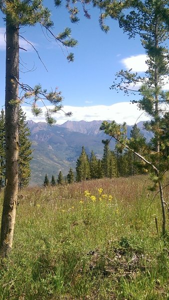 Gore Range providing the backdrop for Upper Fireweed hikers