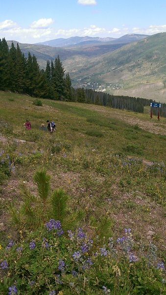 Views west from Upper Fireweed