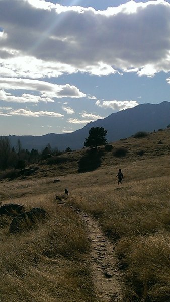 Hikers and dogs enjoy the Cairn Trail