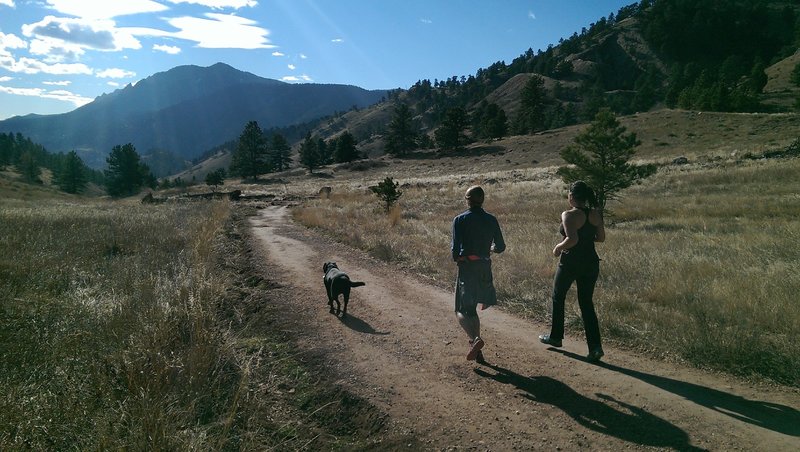 Trail runners enjoy their winter workout