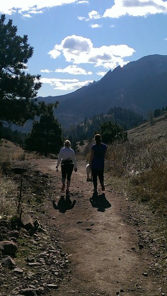 Looking south towards the Flatirons