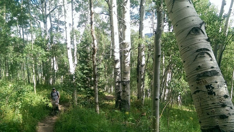 The steepness of Berry Picker starts to ease ever so slightly