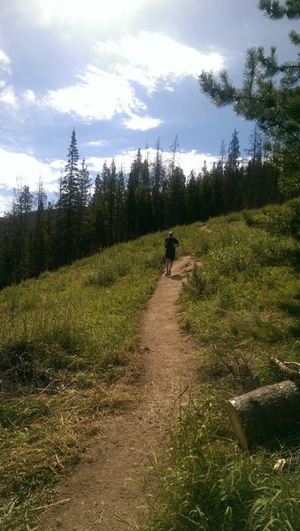 Valiant trail runner nearing the top of Berry Picker