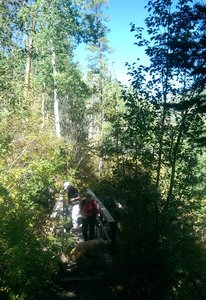 Berry Picker crosses a small mountain stream here