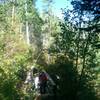 Berry Picker crosses a small mountain stream here