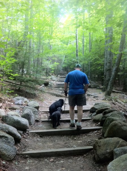 Heading up the steps on the Old Bridle Path.