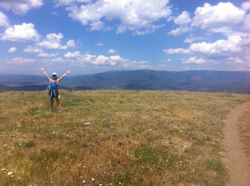 One of the many open meadows on the Thomas Lakes Trail heading up to Mount Sopris.