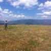 One of the many open meadows on the Thomas Lakes Trail heading up to Mount Sopris.