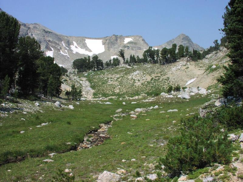 Paintbrush Canyon meadow and creek along the trail.
<br>

<br>
Image by the National Park Service (NPS).