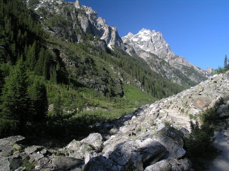 View of Cascade Canyon and trail with Cathedral Group in background.<br>
<br>
Image by the National Park Service (NPS).
