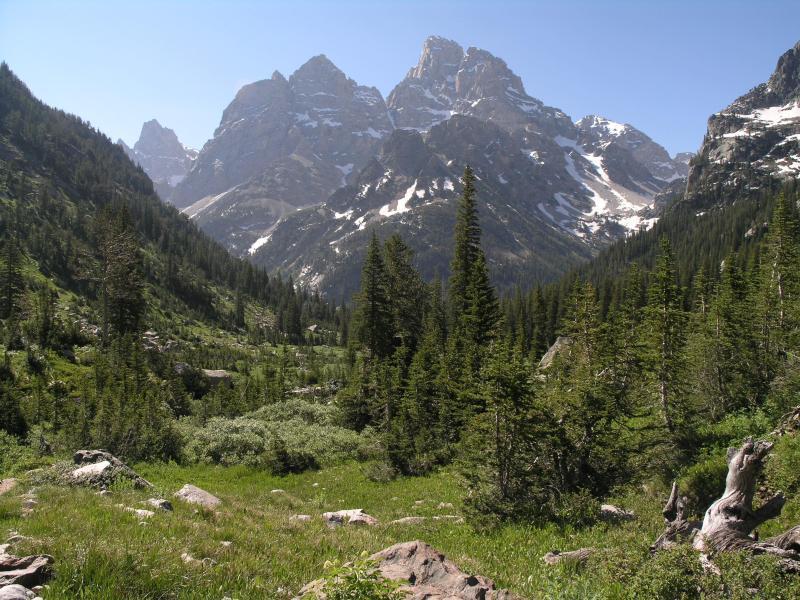 Grand Teton as seen from a meadow on North Fork Cascade Canyon trail.
<br>

<br>
Image by the National Park Service (NPS).