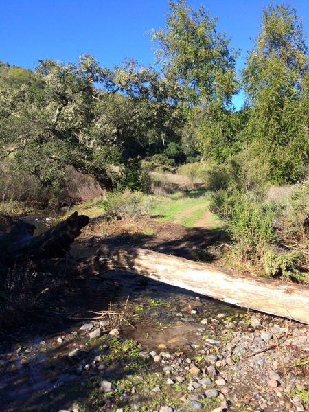 Small stream crossing