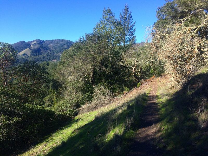 Singletrack on the Pony Gate Trail