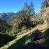 Singletrack on the Pony Gate Trail