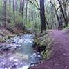 Trail along Sonoma Creek