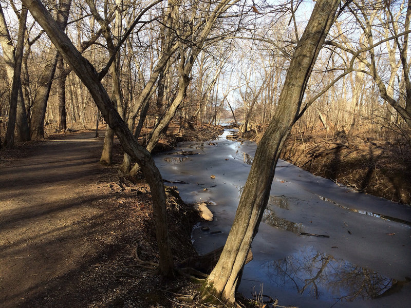 A frozen view of the C & O Canal