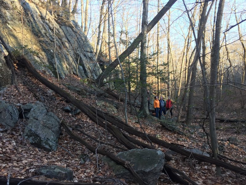 Yellow Trail - Pine Mountain features awesome rock formations and swamps.