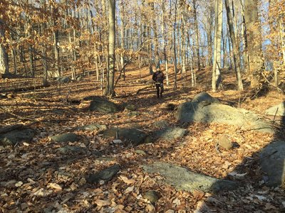 Heading down Green Trail - Red Maple Swamp in the Winter Sun.