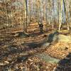 Heading down Green Trail - Red Maple Swamp in the Winter Sun.