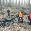 Creek crossing on Yellow Trail - Pine Mountain/Blue Trail.